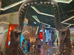 -香港科学馆