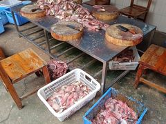 -章记正宗南岗鱼蛋火锅