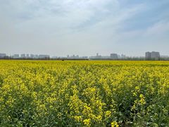 -汉长安城未央宫国家考古遗址公园