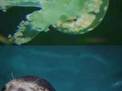 -石林冰雪海洋世界