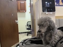 -美联众合动物医院·24h转诊中心