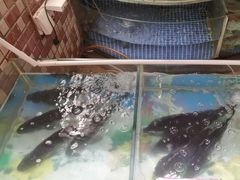 -南方酒店·淮扬菜(回民街店)