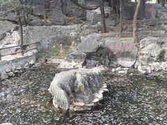 -浮来山风景区