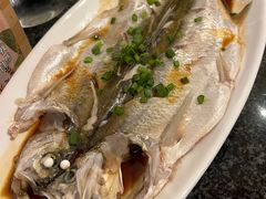 九龙湖朋鱼-锦园餐厅(九龙湖开元度假村店)