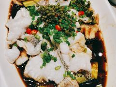 鲜花椒鲈鱼-紫光园·烤鸭(吕家营店)