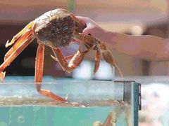-紫阳海鲜楼·传承闽味(长乐路总店)