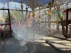 -南宫五洲植物乐园