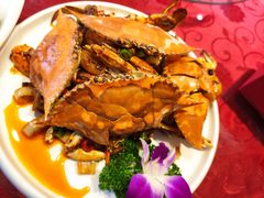 -海岛渔村大酒店(云霄路店)