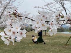 -良渚古城遗址公园