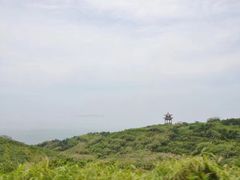 -东极岛景区