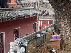 -长春观