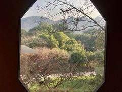 -中国茶叶博物馆(双峰馆区)