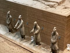 -秦始皇帝陵博物院-丽山园