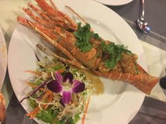 -Onion restaurant
