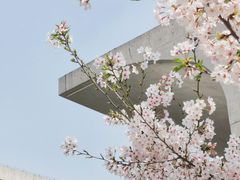 -龙美术馆(西岸馆)