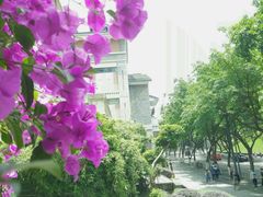 -廖记老砂锅(上清寺店)
