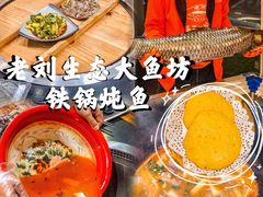 -老刘生态大鱼坊铁锅炖鱼(赛马场店)