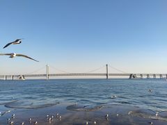 -星海广场