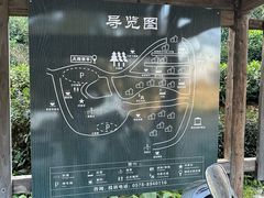 -杨家堂村
