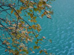 -叠溪松坪沟景区