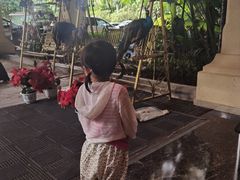 -西双版纳融创皇冠假日度假酒店