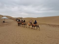 -银肯塔拉沙漠生态旅游景区