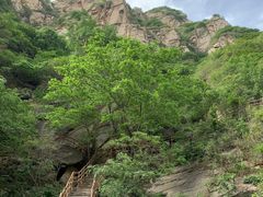 -黑龙潭风景区