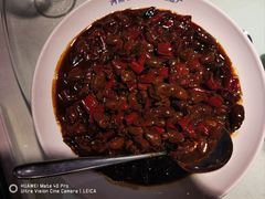 -三强鸽子(中原路店)