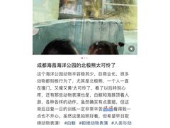 -海合安成都极地海洋公园