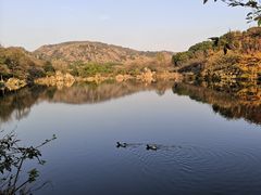 -白马涧龙池景区
