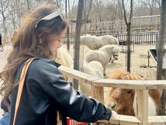 -水上乐园·欢乐世界