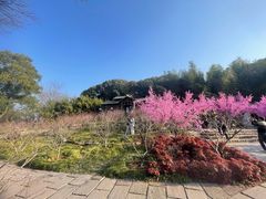 -三国水浒景区(无锡影视基地)