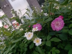 -泉乐坊步行街(烟酒特产平价超市店)