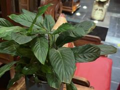 -那家小馆•北京菜•烤鸭(香山店)