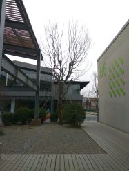 -FAIRY婚礼跟拍工作室