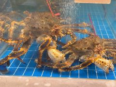 -新丁香海鲜酒店(银海商贸城店)