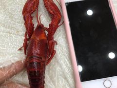 -龙虾奇迹(大华三路店)