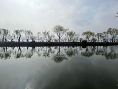 -无锡蠡湖国家湿地公园-蠡园