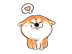 -70後铁锅炖(坡博总店)