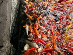 -番禺宾馆丽苑厅