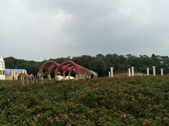 -松山湖梦幻百花洲