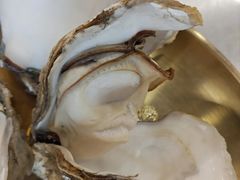 -炉队长·齐齐哈尔家庭烤肉(马家堡店)