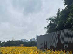 -海心沙亚运公园