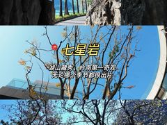 -鼎香皇高佬苏裹蒸粽