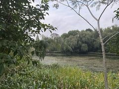 -溱湖国家湿地公园