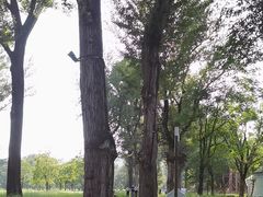 -承德避暑山庄景区