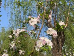 -元大都城垣遗址公园