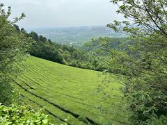 -敬亭山风景名胜区