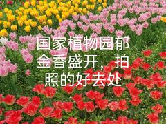 -国家植物园