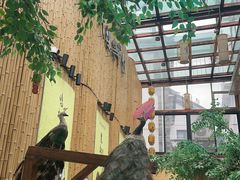 -大理董·董家小厨野生菌火锅(古城旗舰店)
